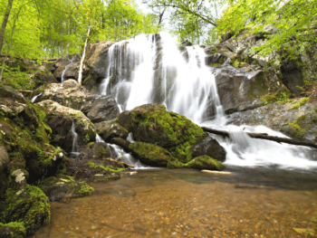 Asheville’s Best Hiking Trails
