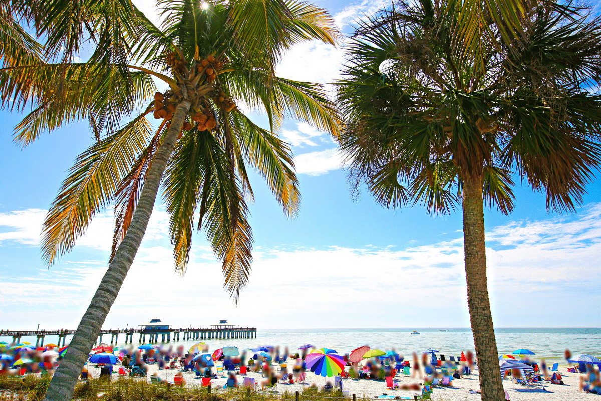 Get Your Tropical Climate Fix Along Florida's Lower Gulf Coast