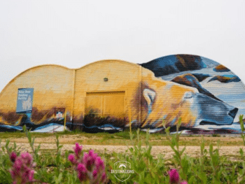 The Murals in This Canadian City Tell Residents’ Personal Climate Change Stories