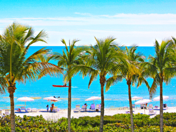 Top Beaches for Your Next Escape to Florida