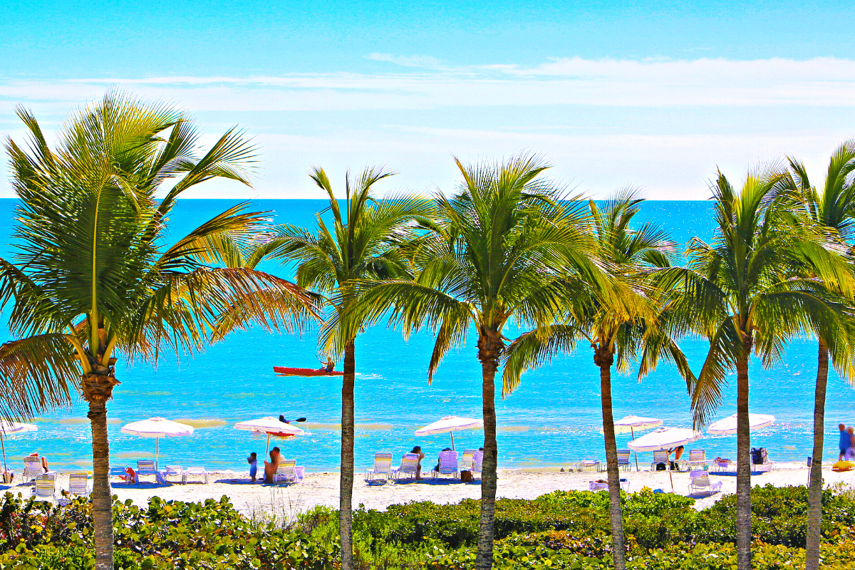 Top Beaches for Your Next Escape to Florida